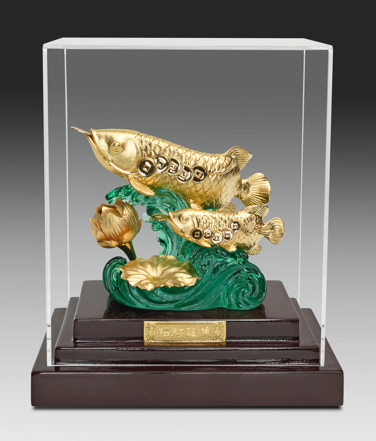 招財龍魚